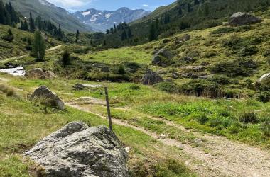 IMG-20240826-WA0046