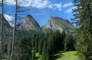 Christine_2025-09-03-um-23.00.55_f858c293