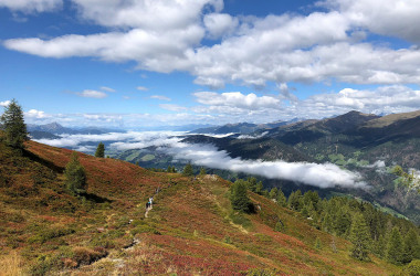 IMG-20220905-WA0006