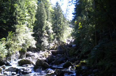 2020.08.20.11.43-Custom