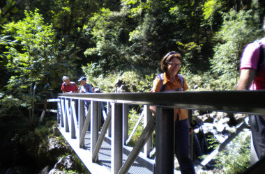 2020.08.20.11.46-Custom