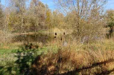 IMG-20251105-WA0007