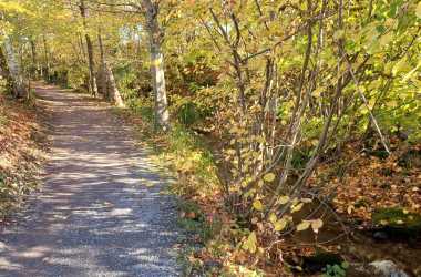 IMG-20251105-WA0011