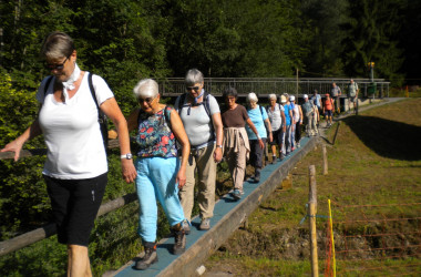 2020.08.11.09.35-Custom