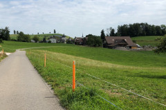 IMG_0070-2