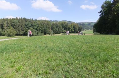 DSCF3949 (Custom) (Custom)