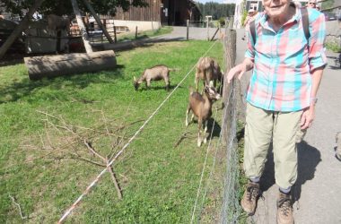 DSCF3954 (Custom) (Custom)