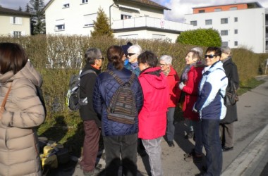 2019.01.15.13.19 (Custom)