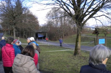 2019.01.15.13.34 (Custom)