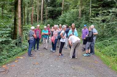 KW-Lorzentobel_2025-08-05_12.40.39