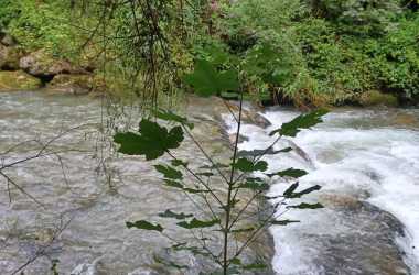 KW-Lorzentobel_2025-08-05_12.40.40