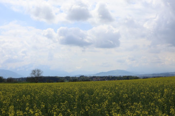 2023.05.02.13.30.59R