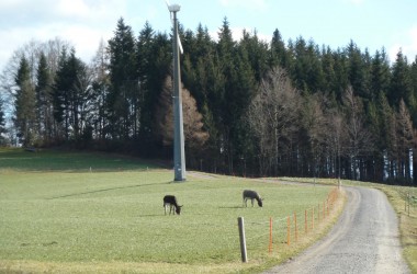 18-2-Esel-und-ein-Windrad-auf-800-m-Höhe