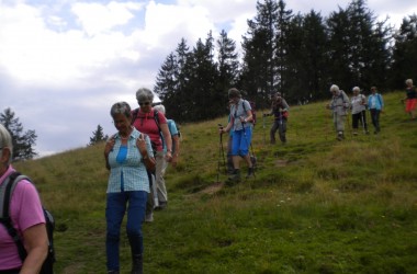 2020.07.21.12.40-Custom