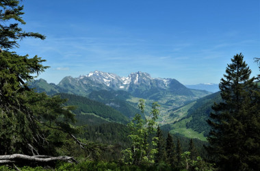 P1003076