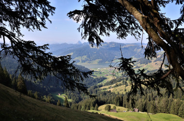 IMG_1395