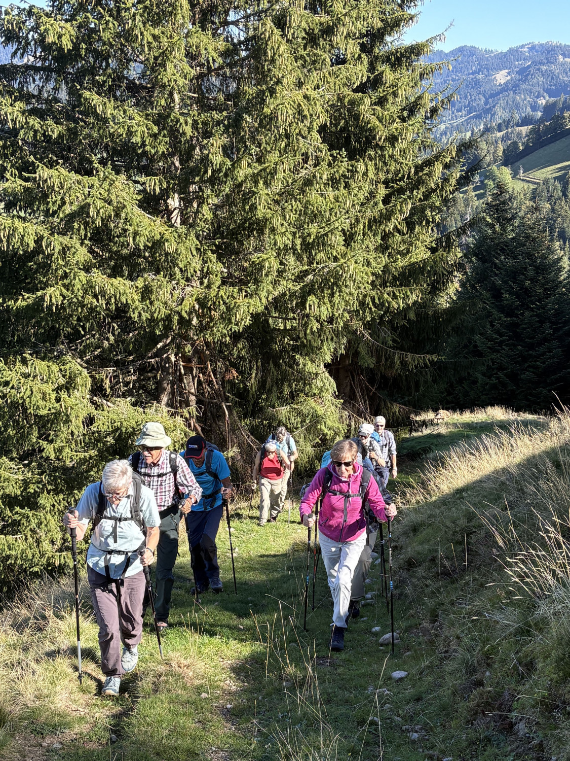 Emmental-16