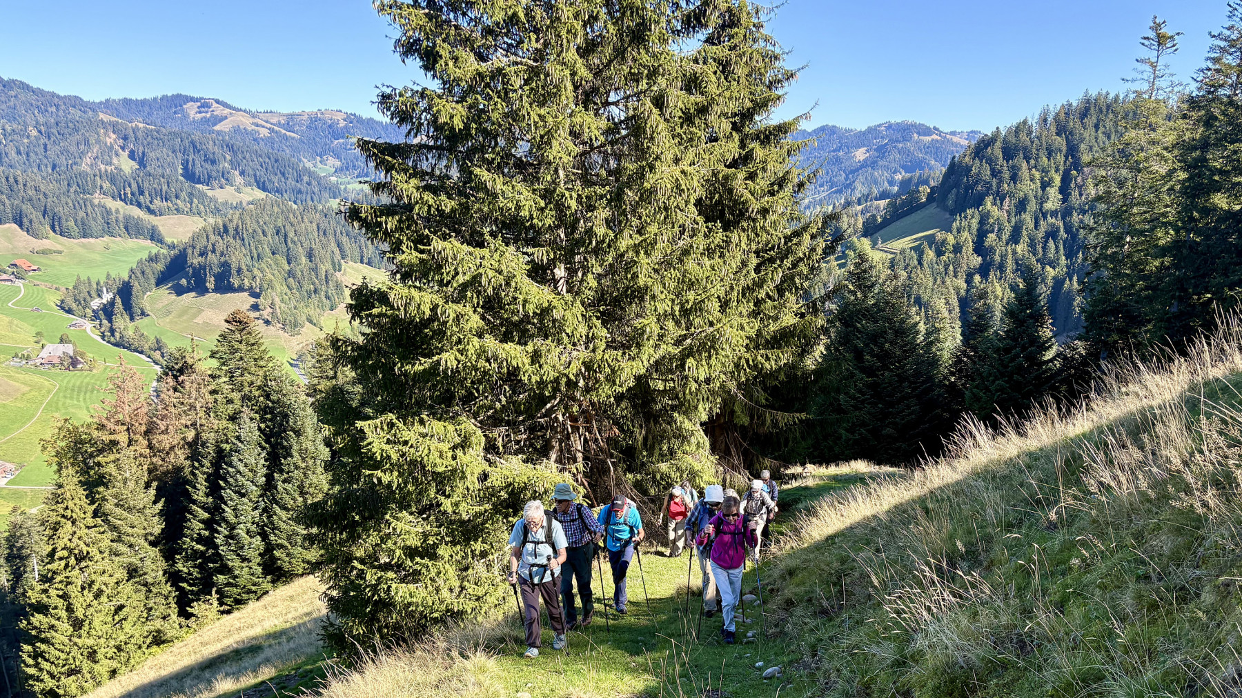 Emmental-17