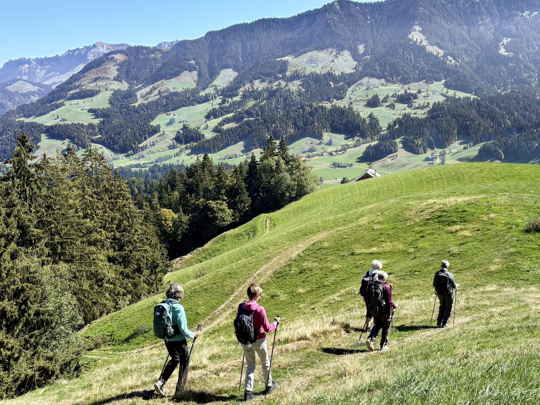 Emmental-27