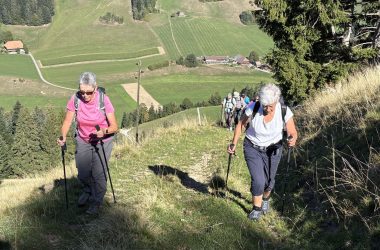 Emmental-14