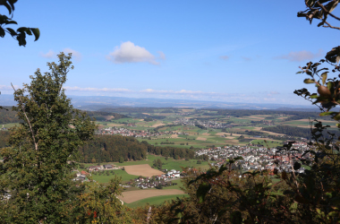 11-IMG_1477