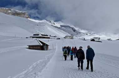 IMG-20240221-WA0006