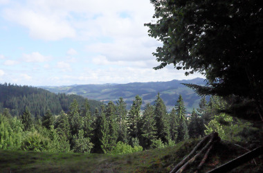 a05-MG_6270-a