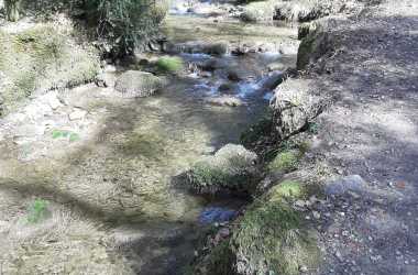 IMG-20260311-WA0000
