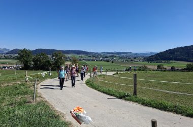 a16-1000019327