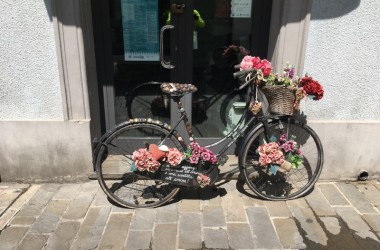 Veloferien Fratta Terme - 47
