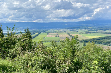 Mont Vully
