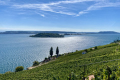 Velotage-Studen-2022-47