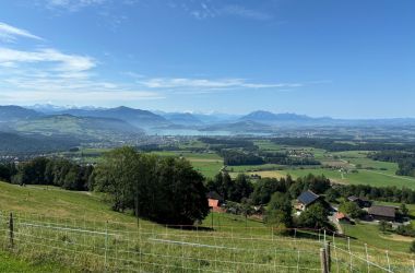 IMG_9410