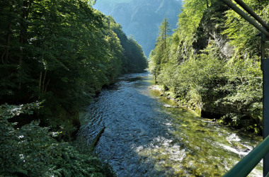 d-RD-P1005948