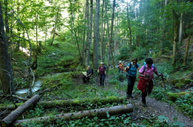 d-RD-P1005928