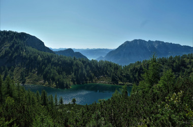 f-RD-P1005969