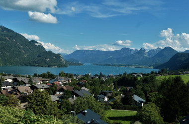 RD-P1005884